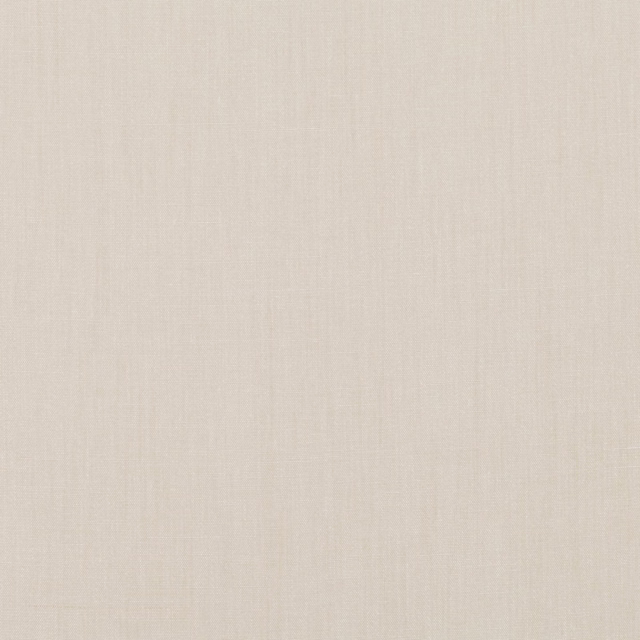 Pale ivory plain-weave swatch with faintly slubbed, softly vertical texture