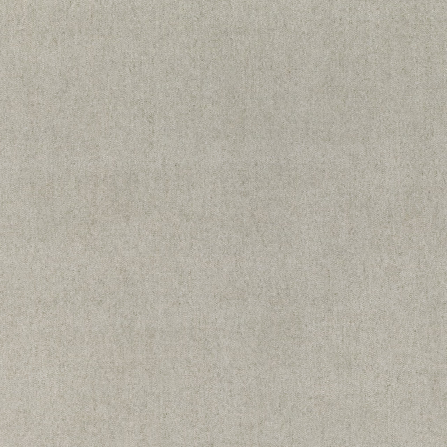 Pale silvery greige fabric with a fine, softly mottled woven surface