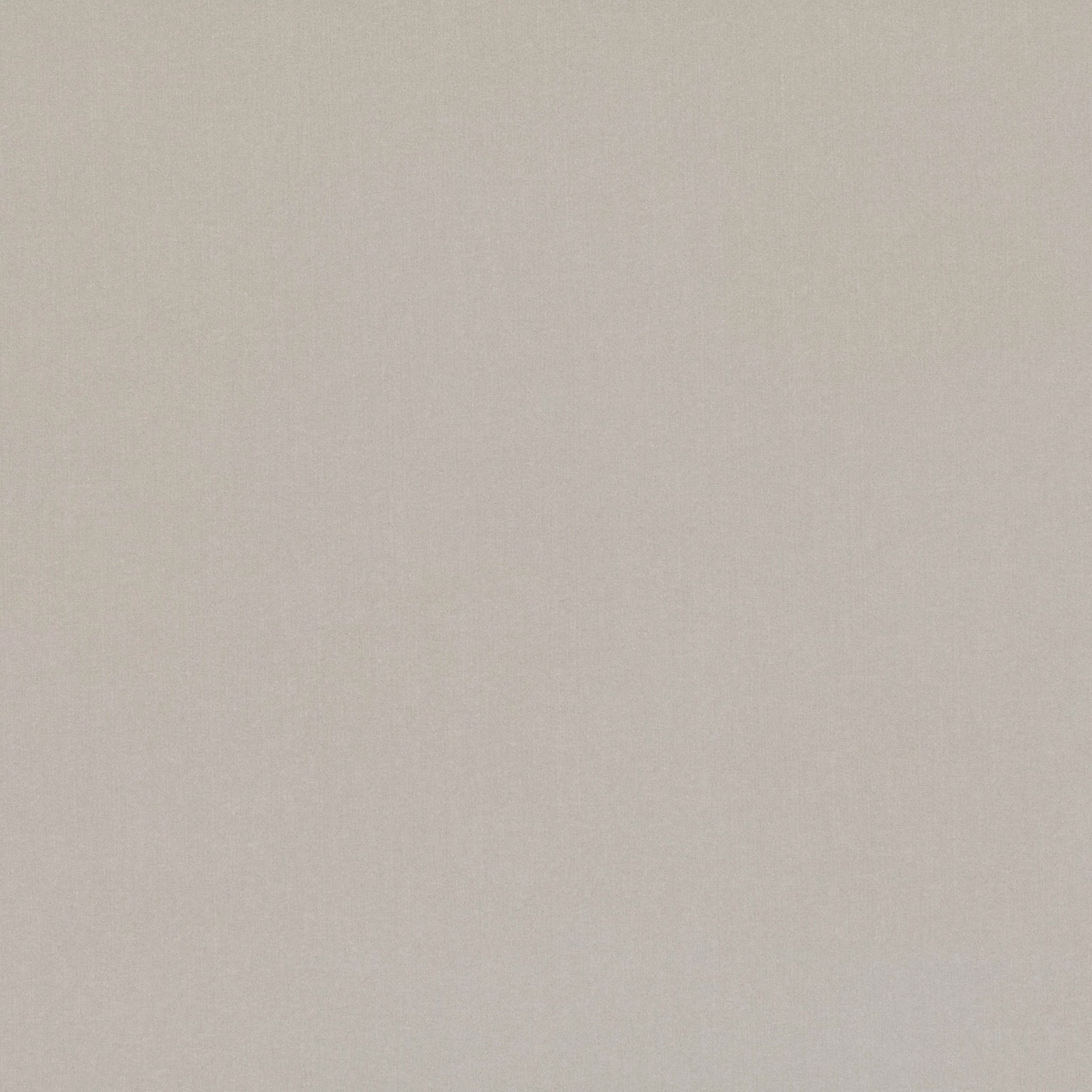 Pale moonrock taupe velvet with a softly mottled, low-contrast surface
