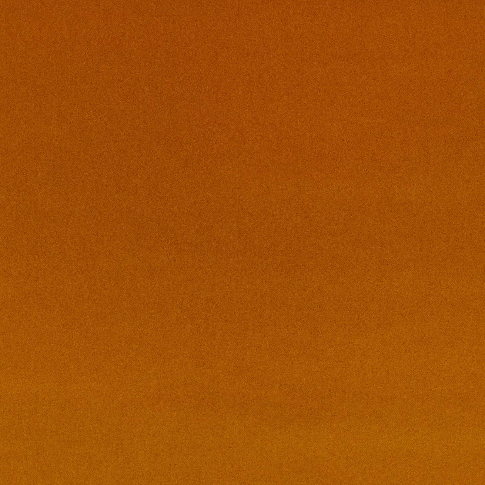 Close-up of plain burnt carnelian-orange velvet with a softly shifting pile