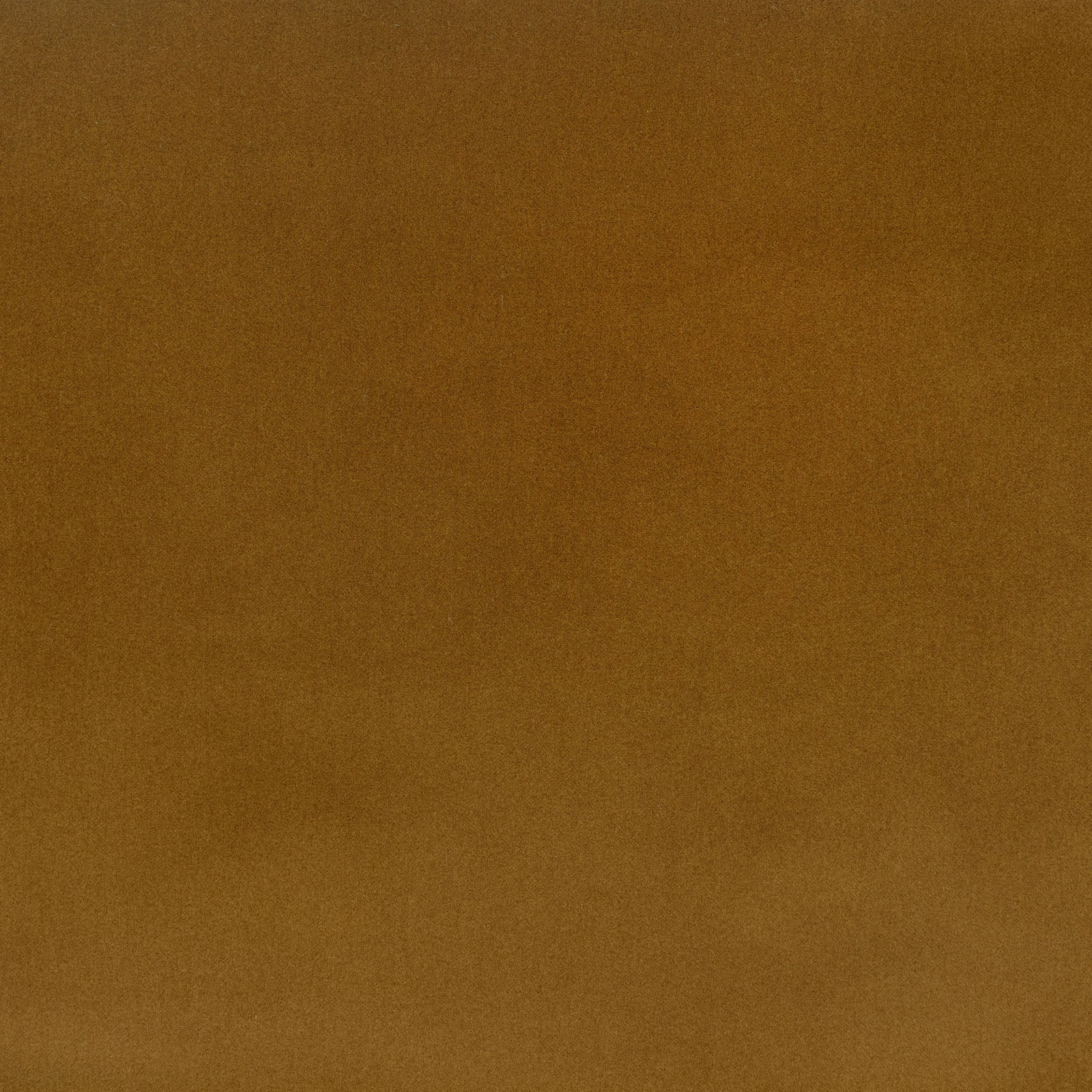 Warm cumin-brown velvet with a softly shifting, close-cut nap
