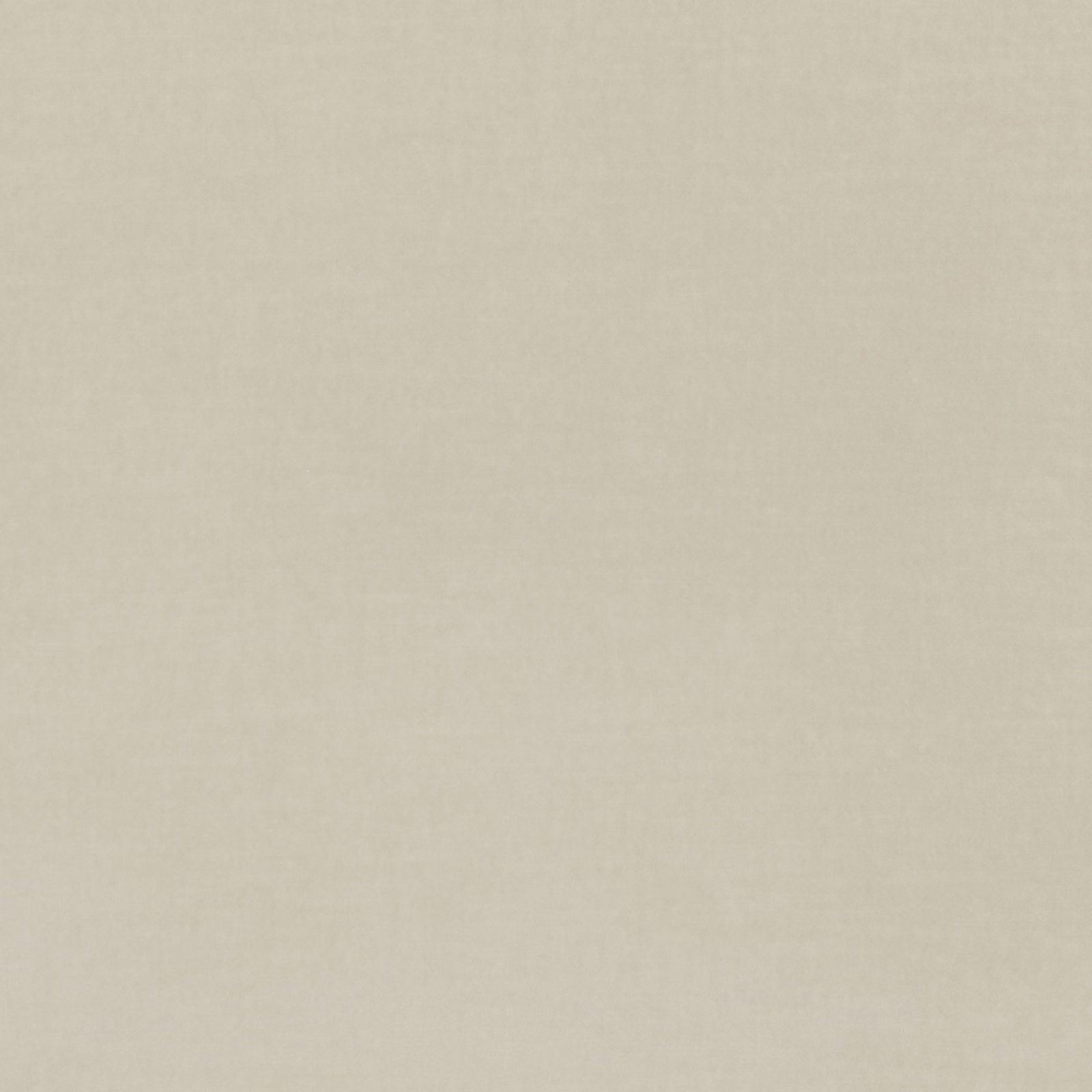 Pale warm eggshell velvet with a close, softly luminous plain nap