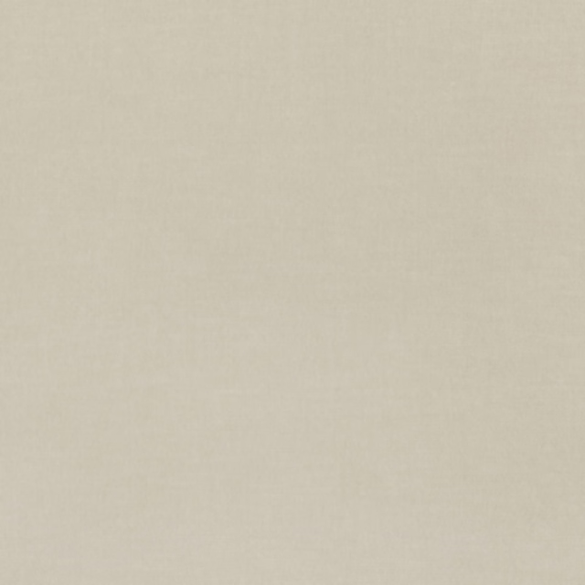 Pale warm eggshell velvet with a close, softly luminous plain nap