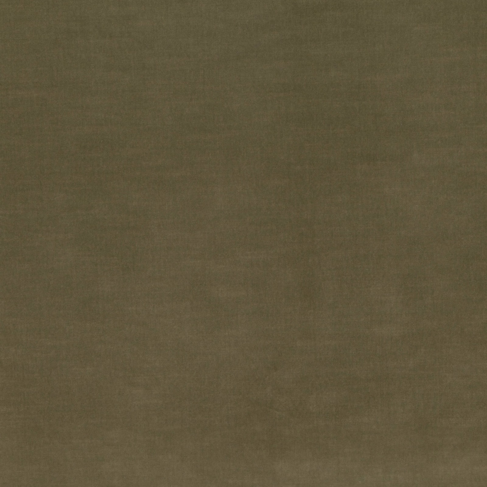 Muted olive-brown velvet with subtle horizontal nap shading across the swatch