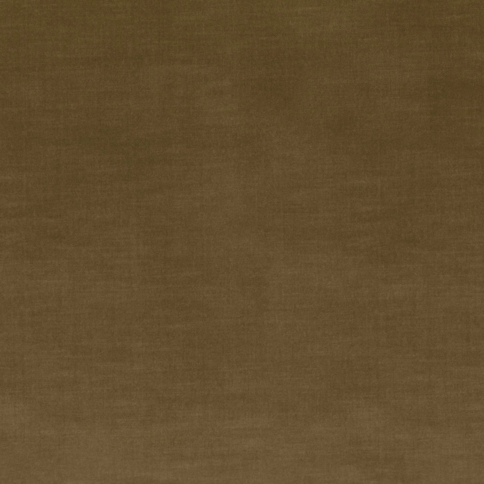 Warm olive-brown velvet swatch with a softly mottled, light-catching pile