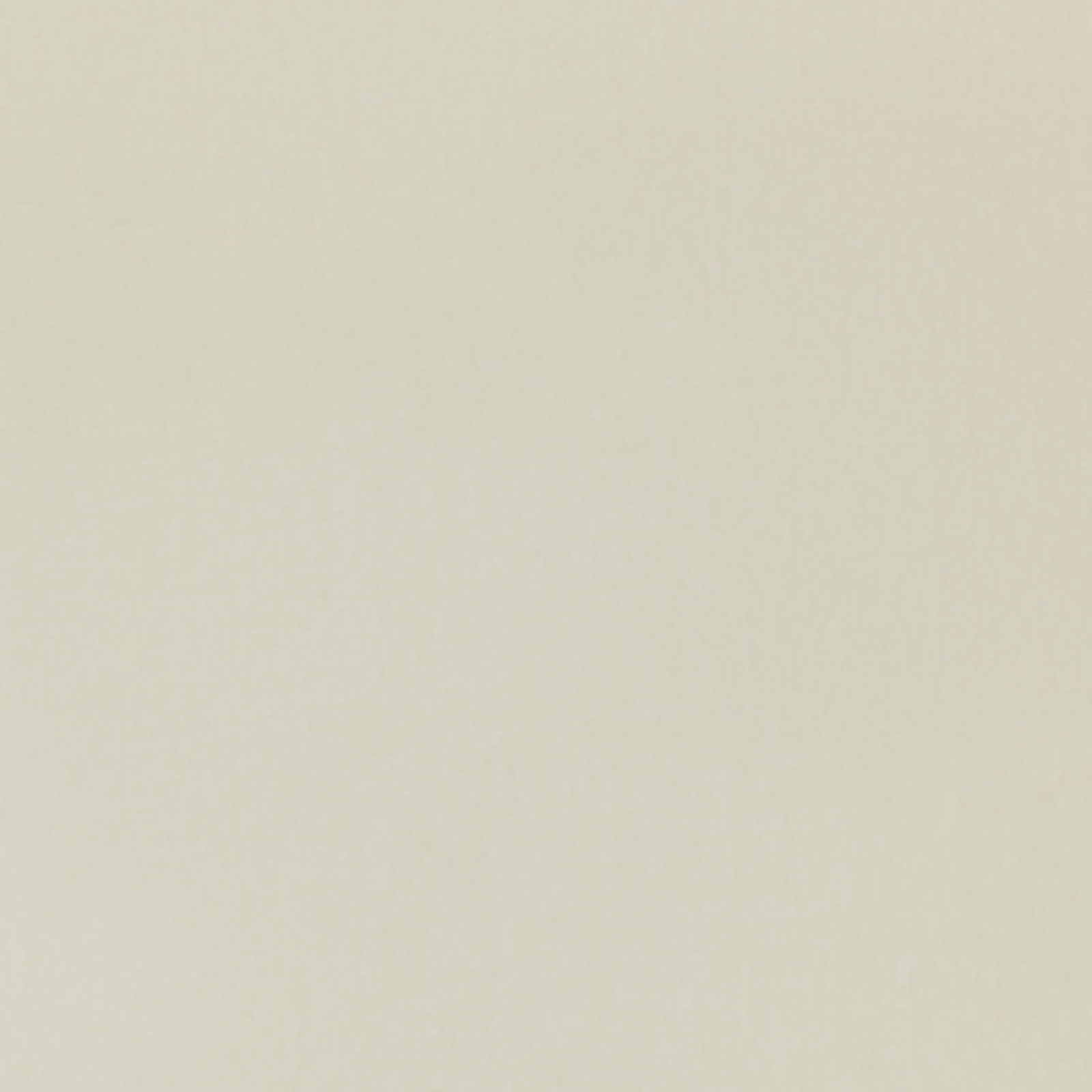 Pale opal ivory velvet swatch with a softly brushed, subtly tonal surface