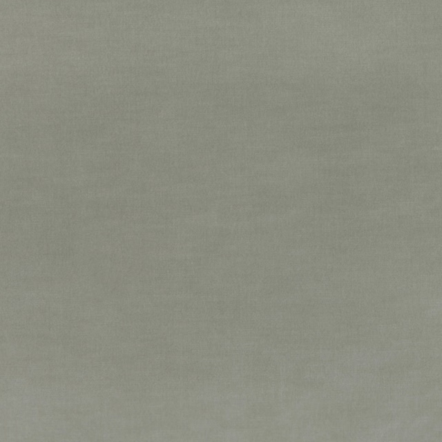 Muted putty taupe velvet with a softly brushed, low-contrast surface