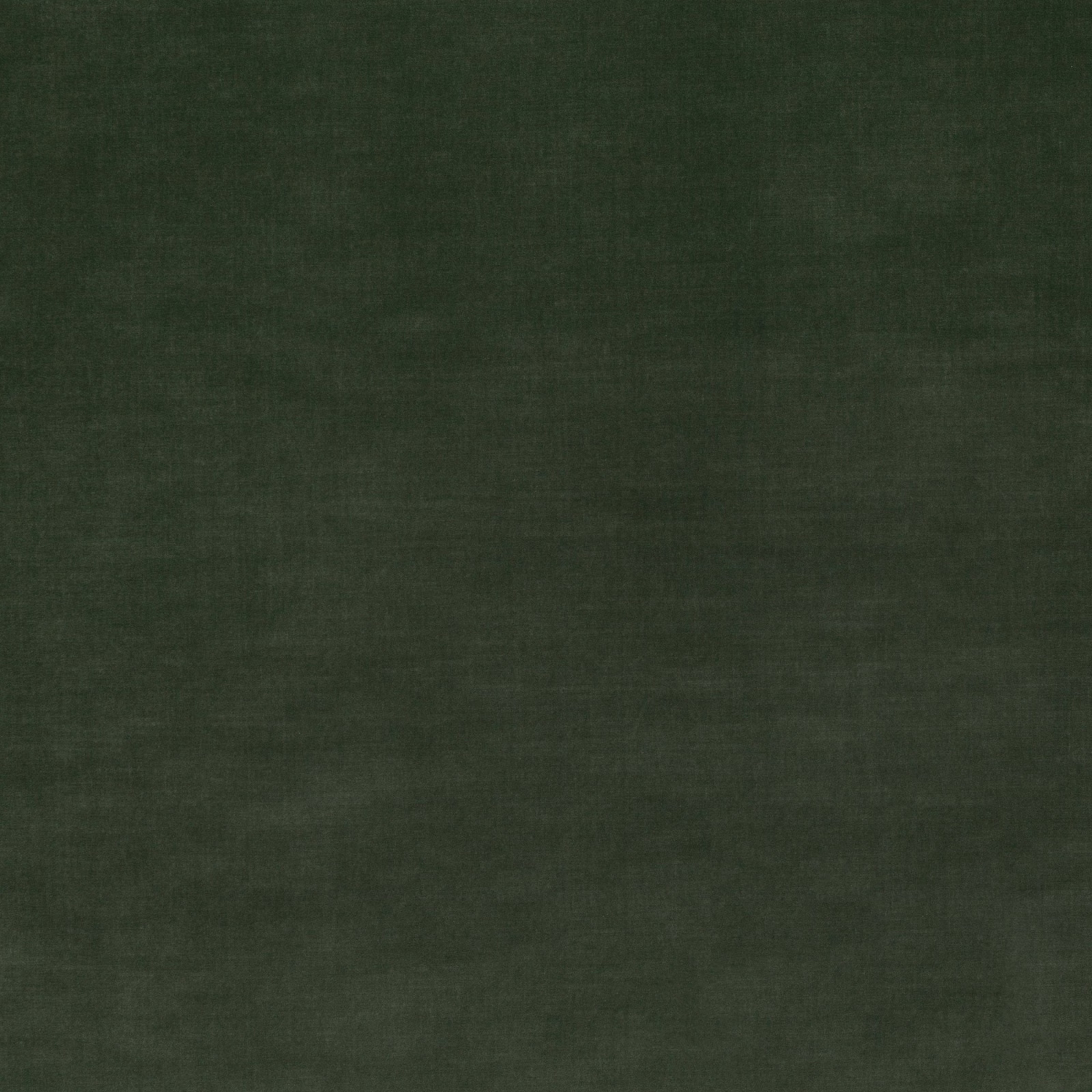 Deep forest-green velvet swatch showing subtle nap variation and tonal shading