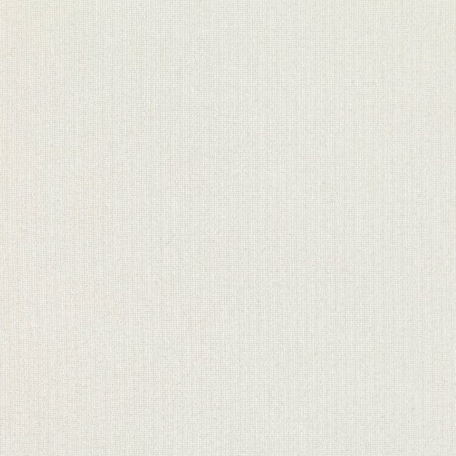 Warm ivory-white sheer with a delicate, finely grained woven surface
