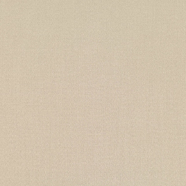 Pale warm-beige fabric swatch with a fine, softly textured plain weave