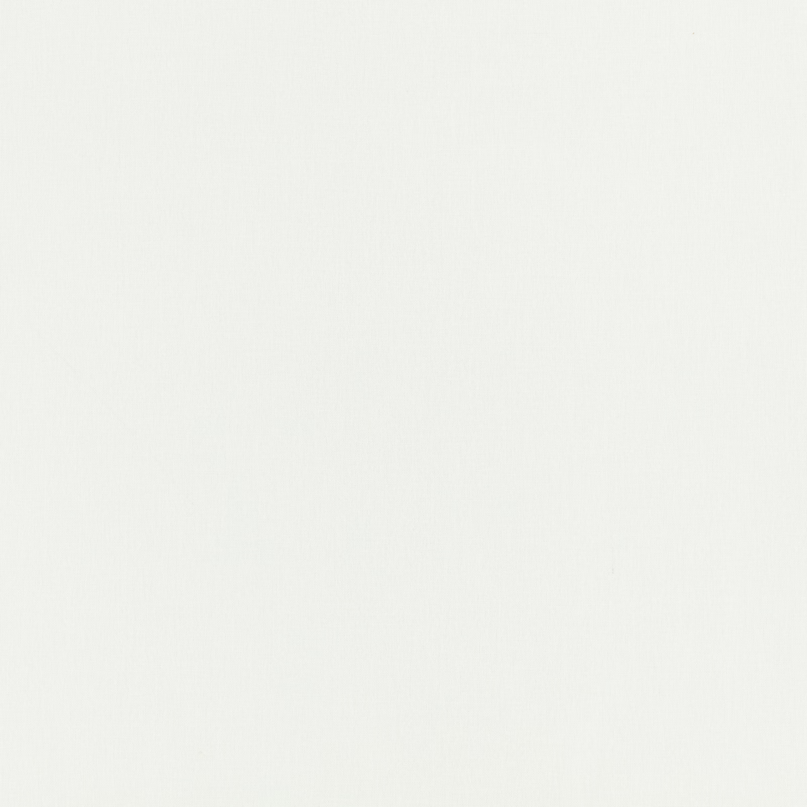 Soft ivory-white sheer with a barely visible fine texture in close-up
