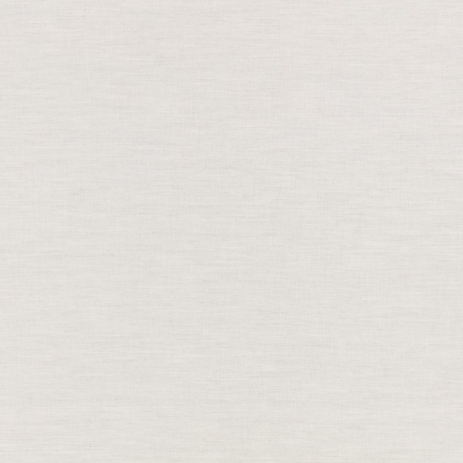 Pale silverbirch sheer showing a fine, softly striated silver-white weave