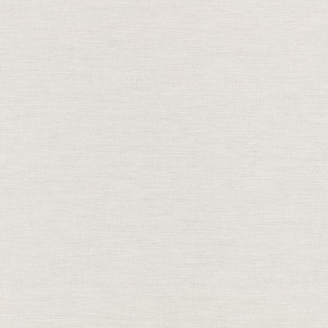 Pale silverbirch sheer showing a fine, softly striated silver-white weave