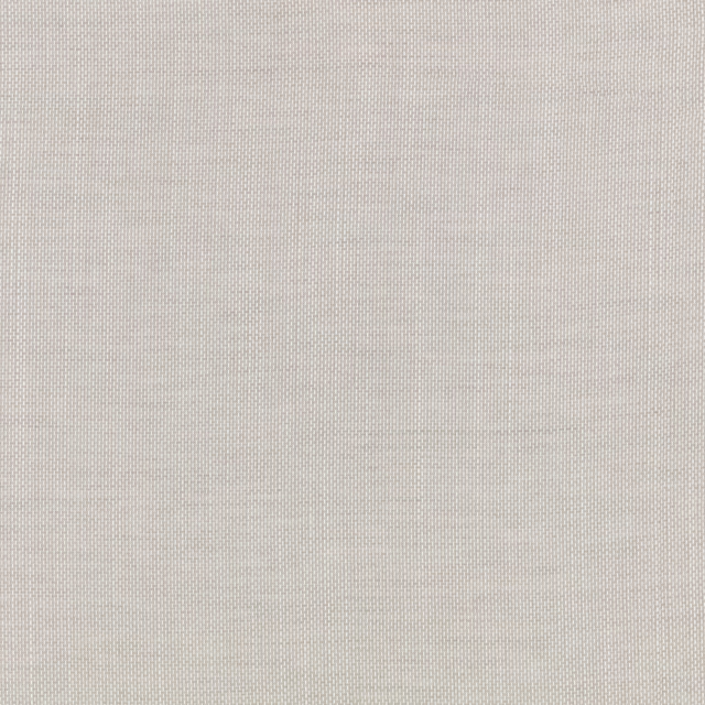 Pale mist-grey fine woven sheer fabric with a subtly granular surface