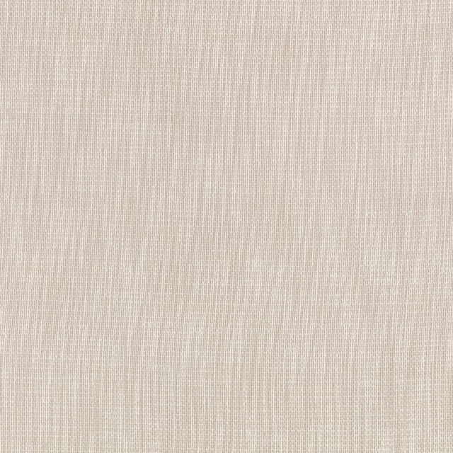 Pale vellum ivory sheer with fine vertical threads and subtle woven flecks