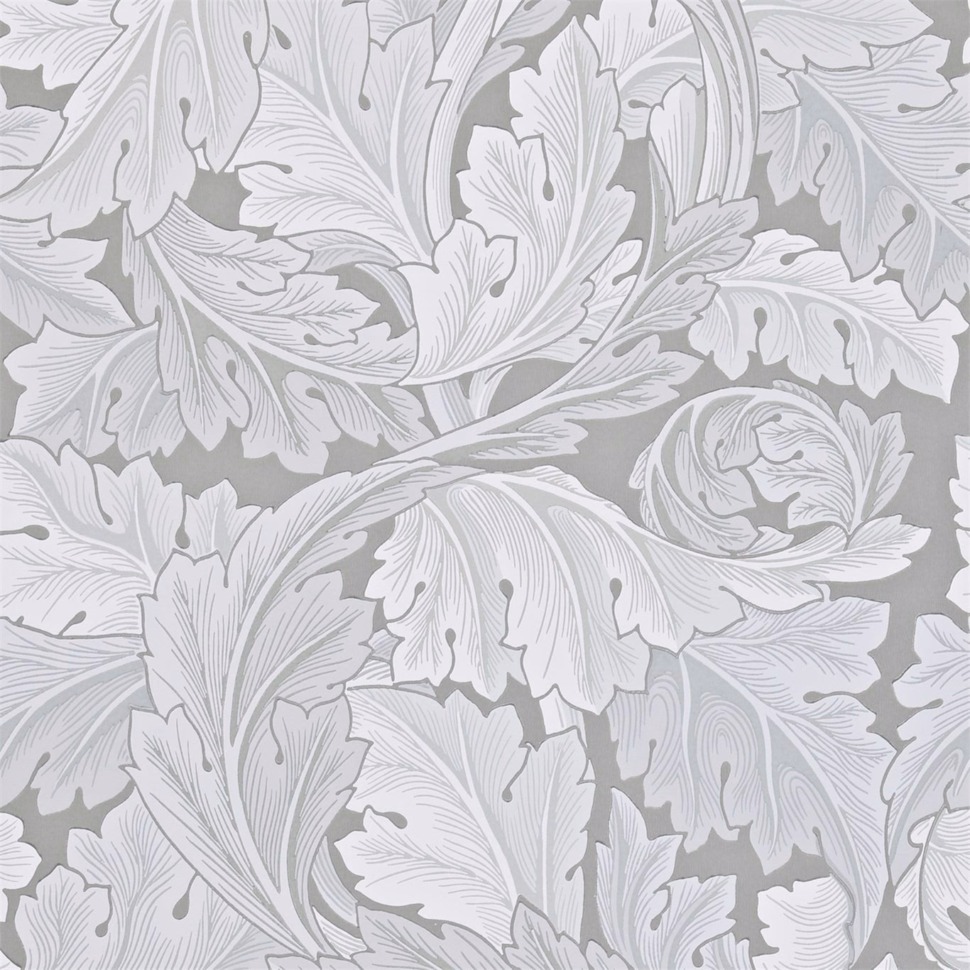 Pale acanthus leaves with fine grey outlines on a cool silver-grey wallpaper ground