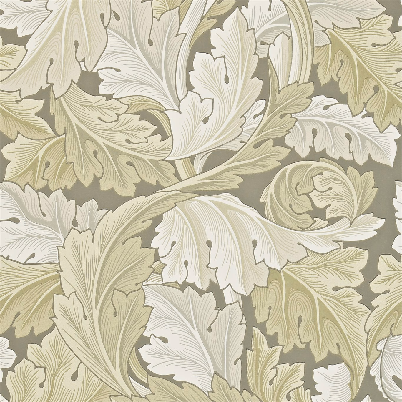Stone-grey wallpaper with pale acanthus leaves and muted sage-green foliage