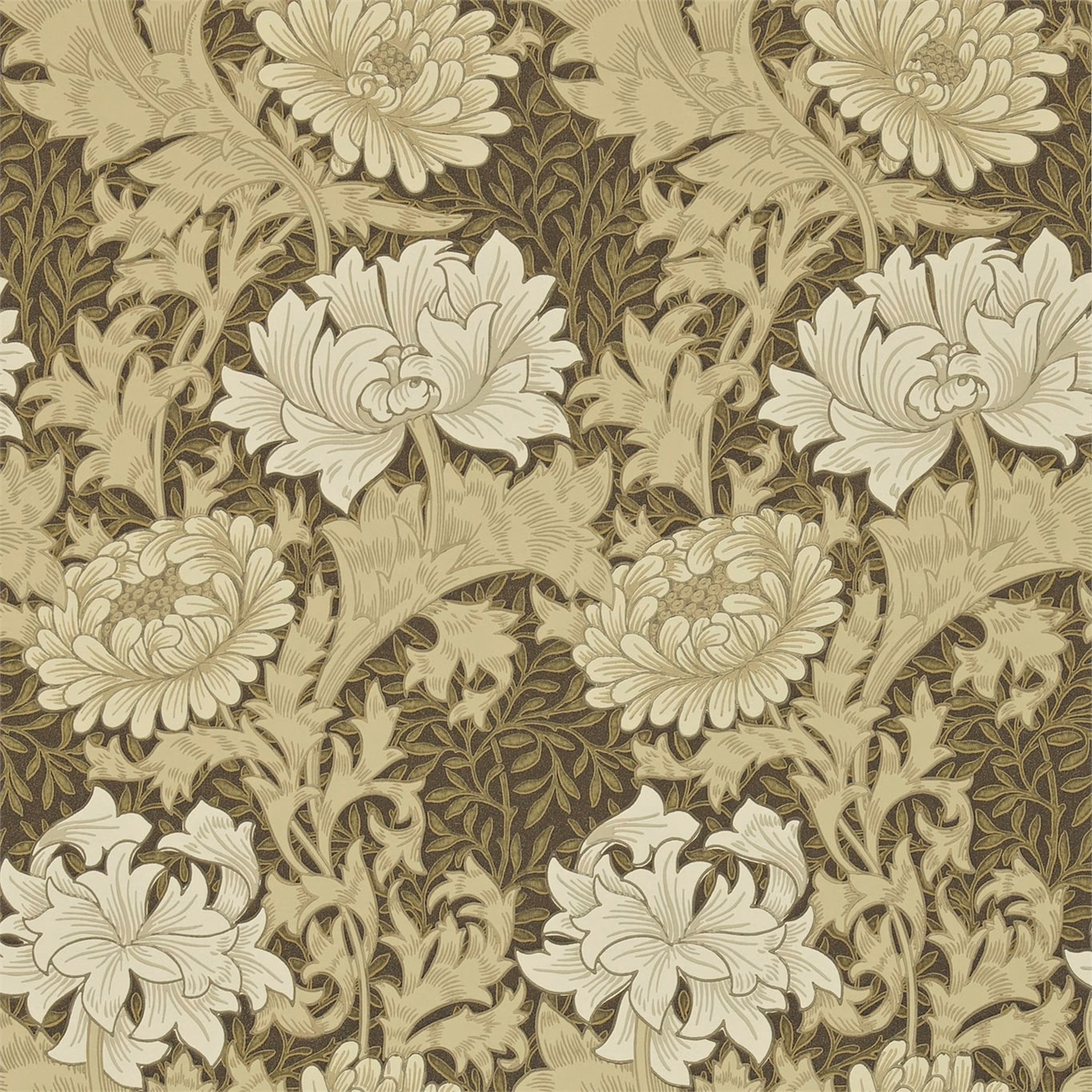 Cream chrysanthemum blooms and olive foliage on a dark brown botanical wallpaper
