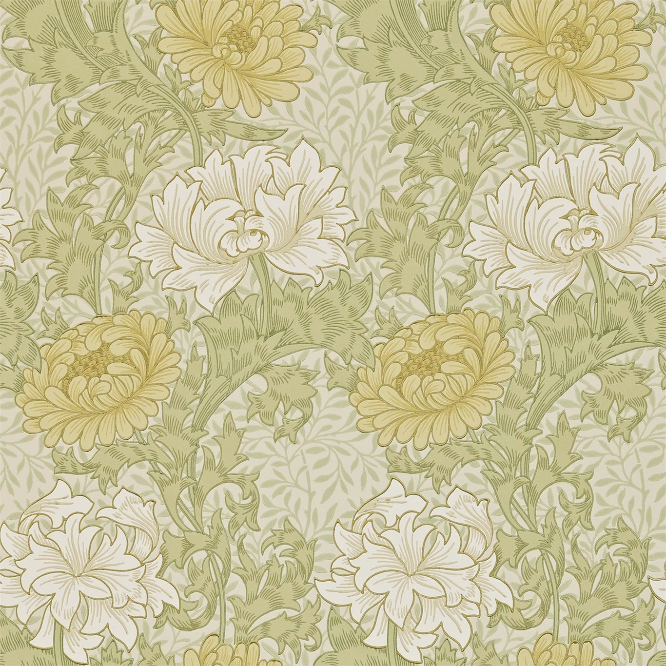Pale olive wallpaper with cream and ochre chrysanthemum blooms and fine botanical linework