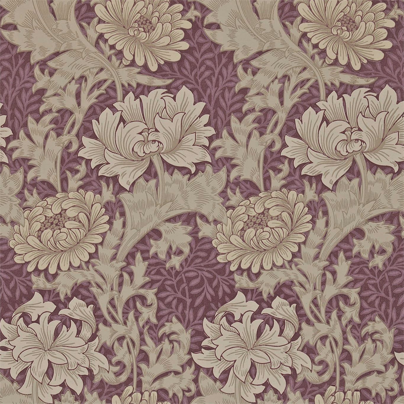 Wine-plum wallpaper with cream chrysanthemums and sage foliage in a dense repeat
