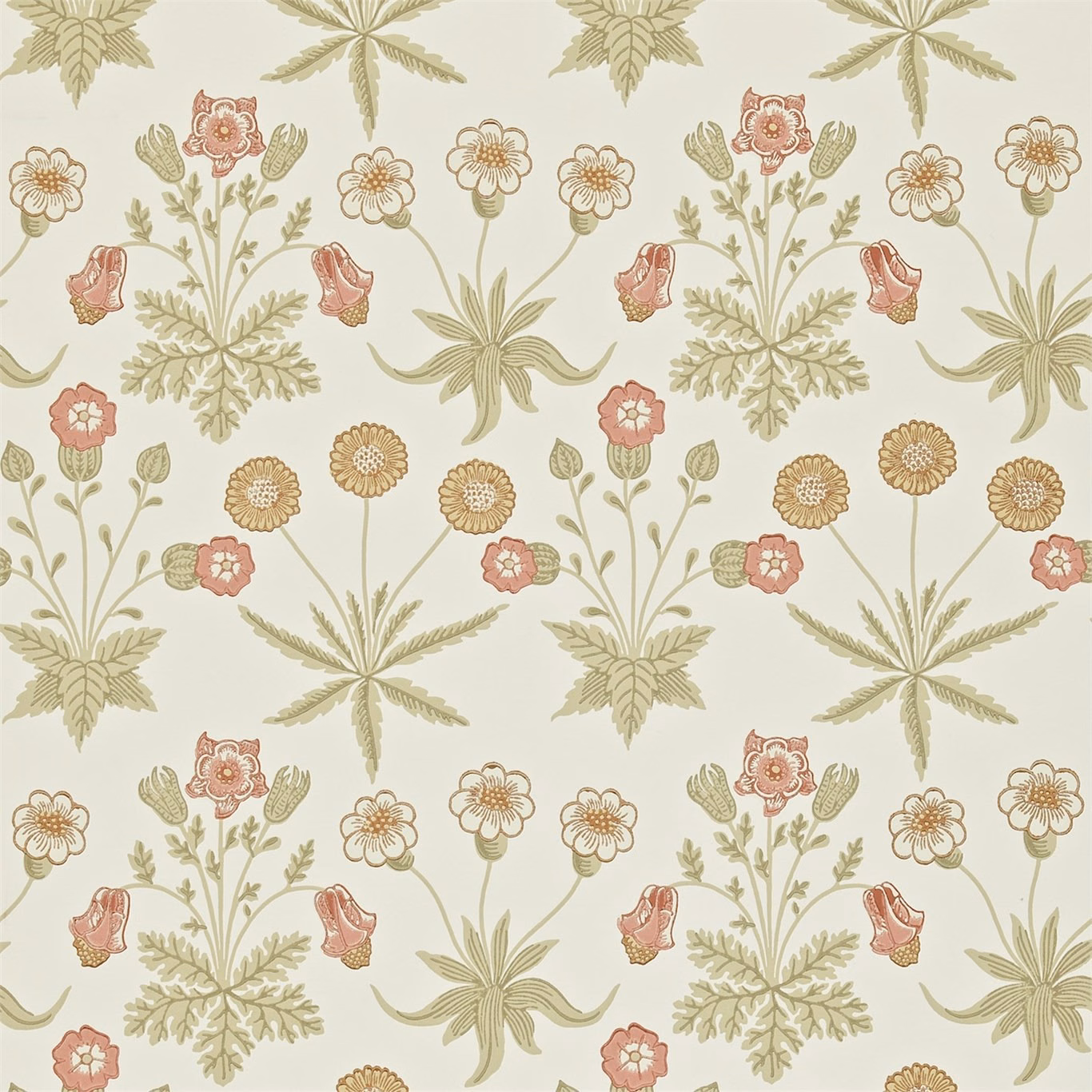 Coral and sage botanical flowers on a warm cream Daisy wallpaper ground