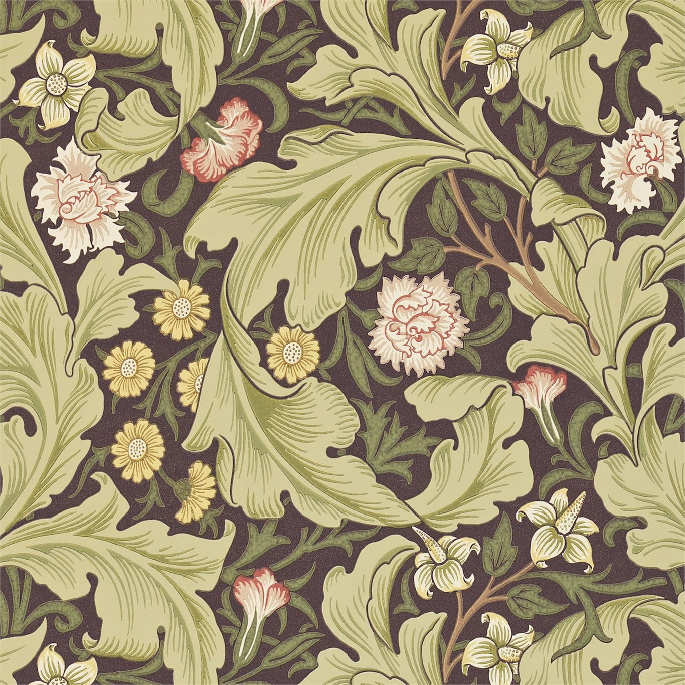 Chocolate olive wallpaper with pale acanthus leaves, cream flowers and pink botanical details
