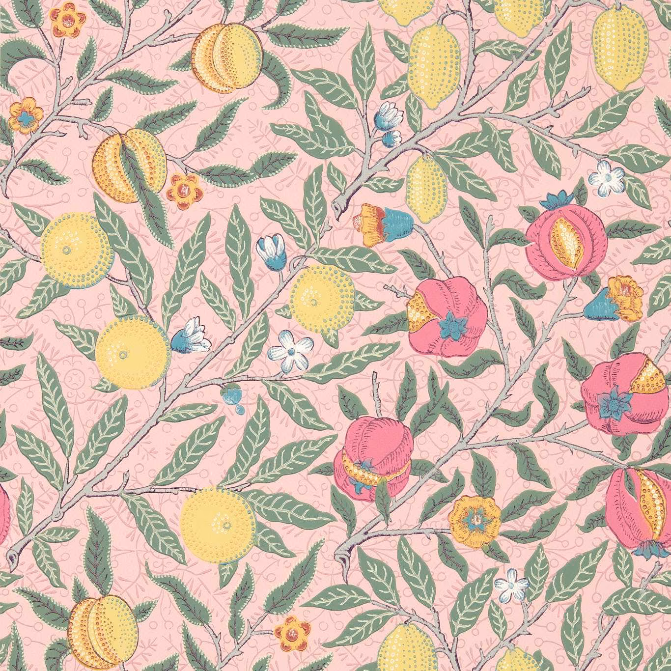 Blush pink wallpaper with citrus fruits, leafy branches and coral blossoms