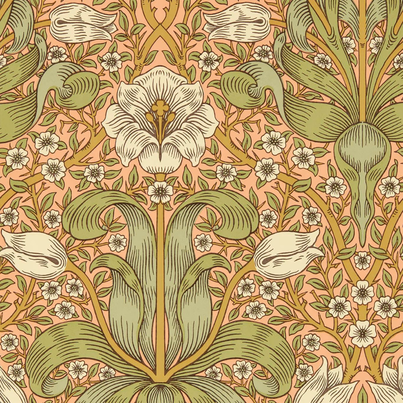Peach botanical wallpaper with olive leaves, cream flowers and fine brown outlines