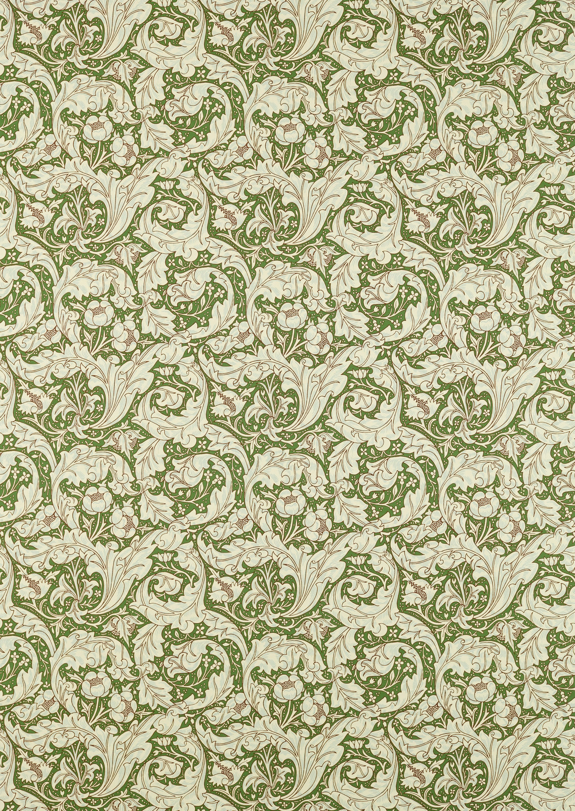 Leaf-green scrolling botanicals on a pale sky and cream ground