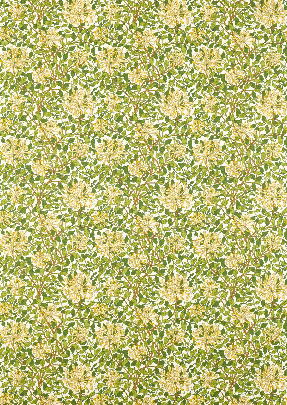 Cream botanical fabric with green leaves, pale honeysuckle blooms and chocolate stems