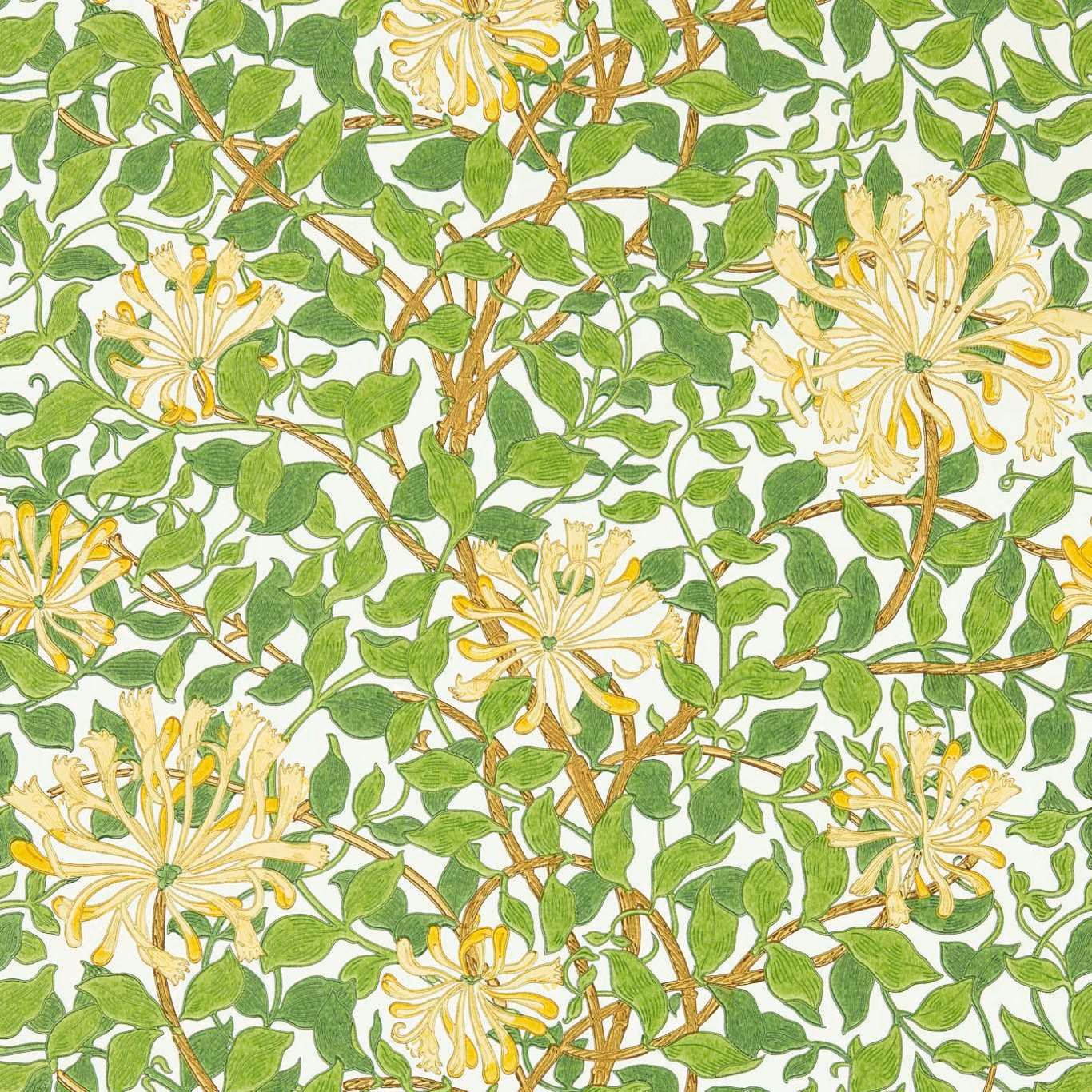 Cream wallpaper with green honeysuckle leaves, chocolate stems and pale yellow flowers