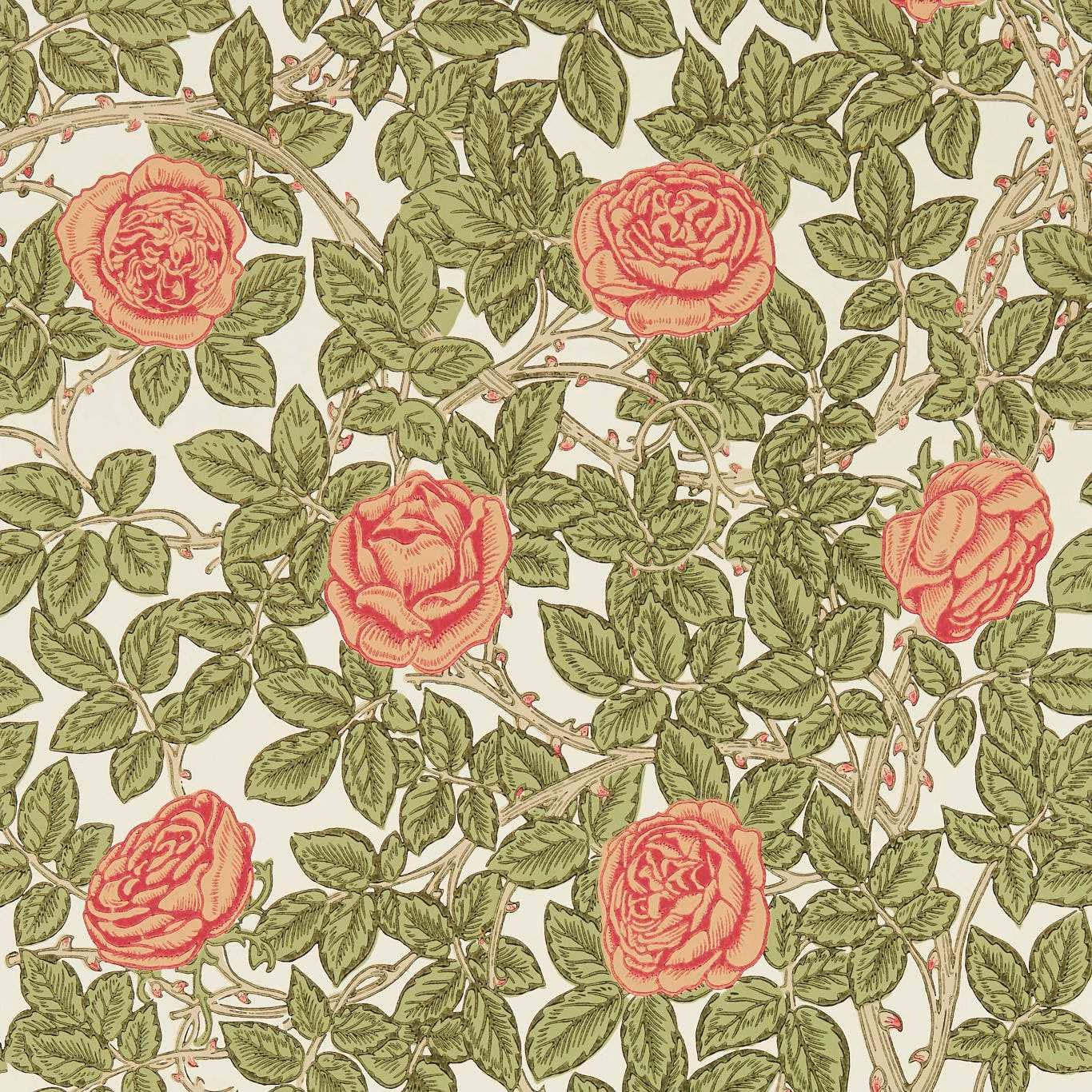Cream wallpaper with coral roses, olive leaves and twisting taupe stems