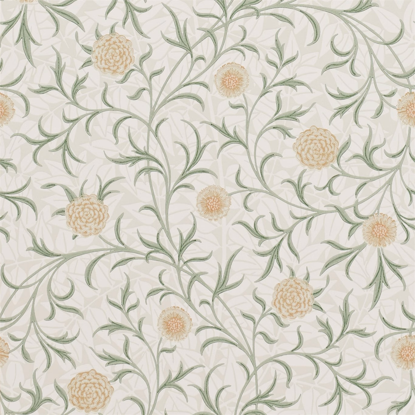 Pale sage scrolls and cream flowerheads on a pear-green botanical wallpaper