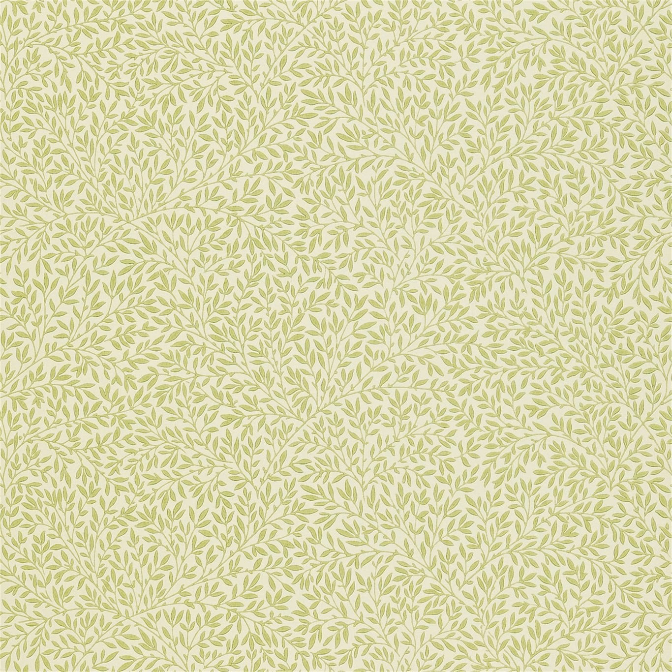 Pale fennel green leafy vines on a soft cream botanical wallpaper