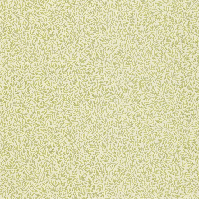 Pale fennel green leafy vines on a soft cream botanical wallpaper