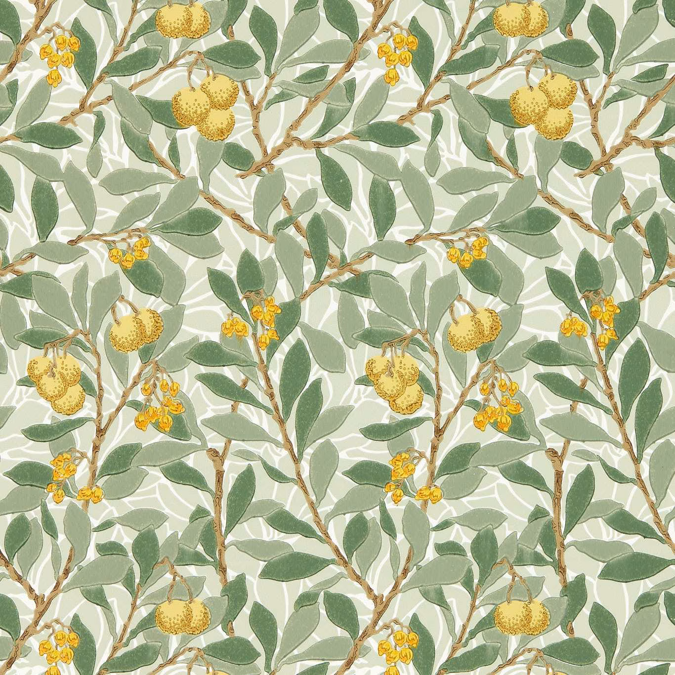 Sage leafy branches with lemon fruit and yellow blossom clusters on cream
