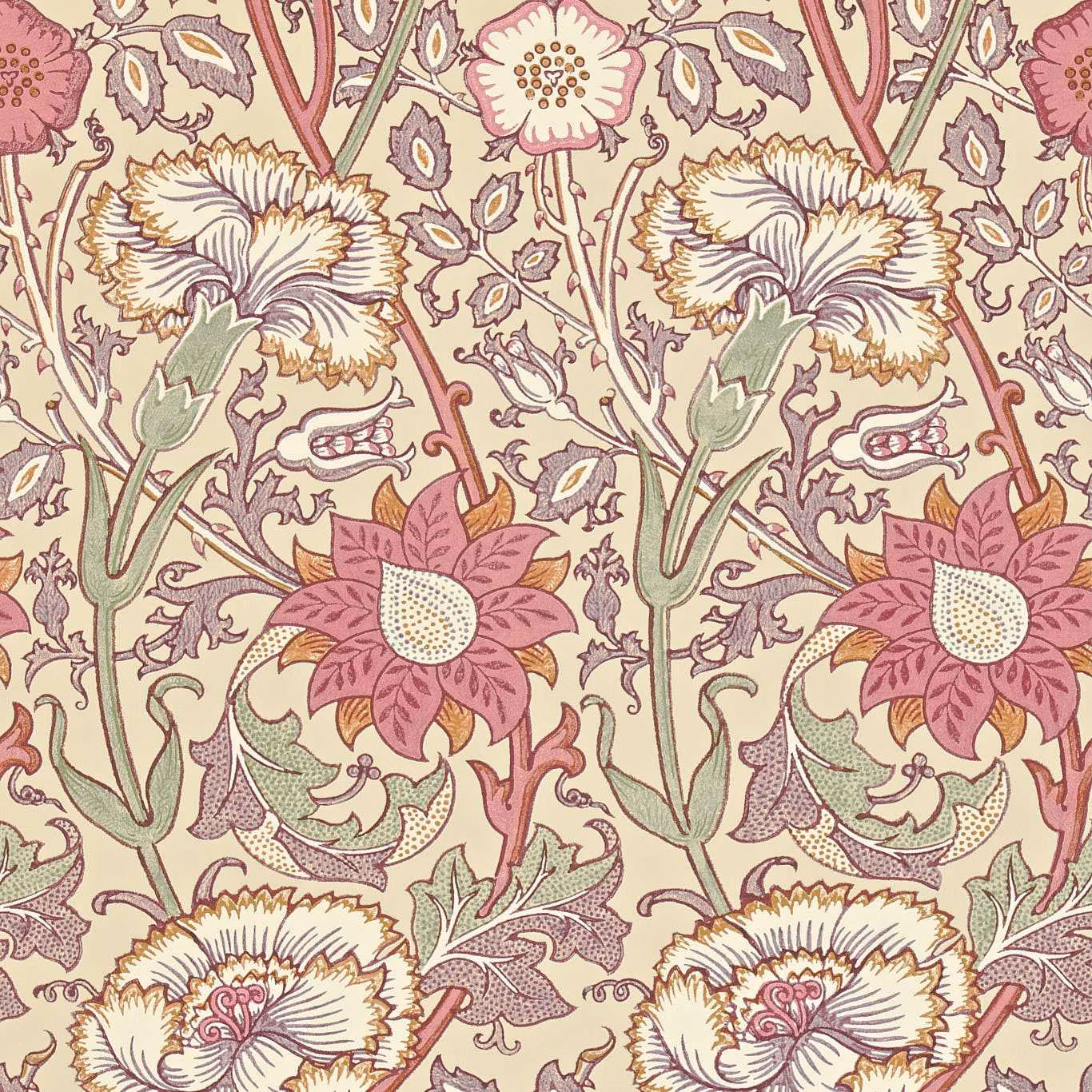Large pink and rose flowers on warm white wallpaper with sage foliage and plum linework