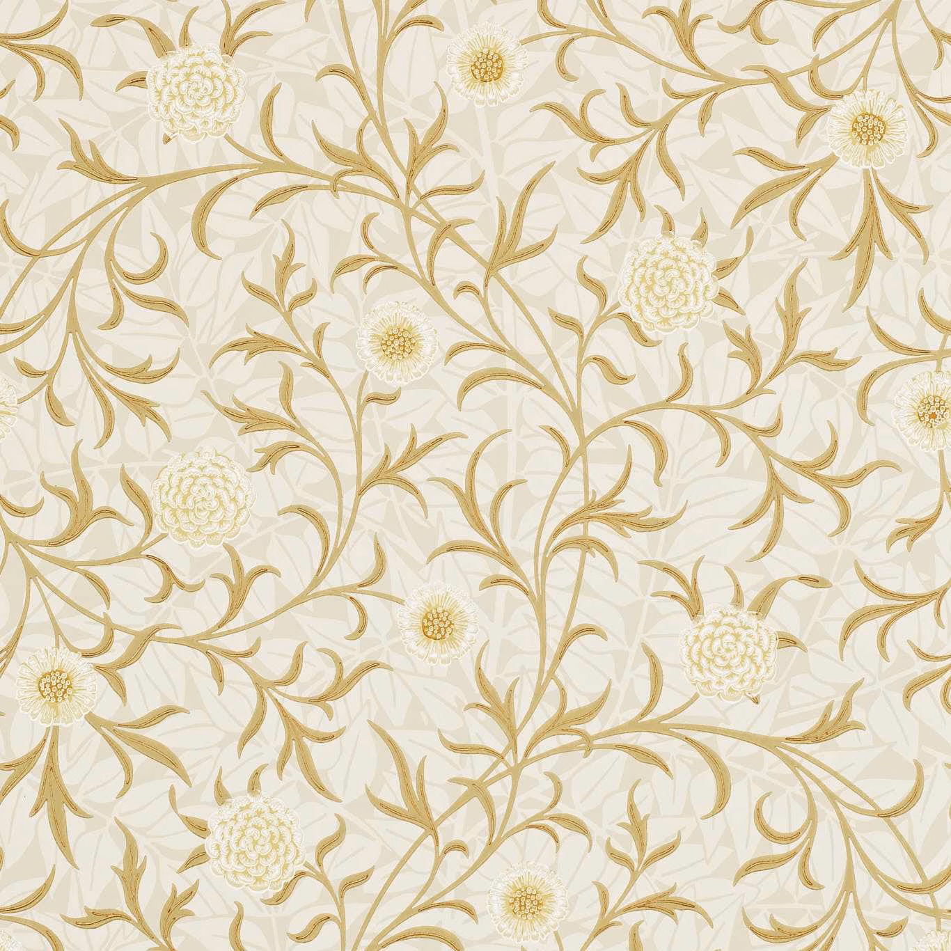 Biscuit-gold curling stems and pale chrysanthemum blooms across a warm cream wallpaper ground
