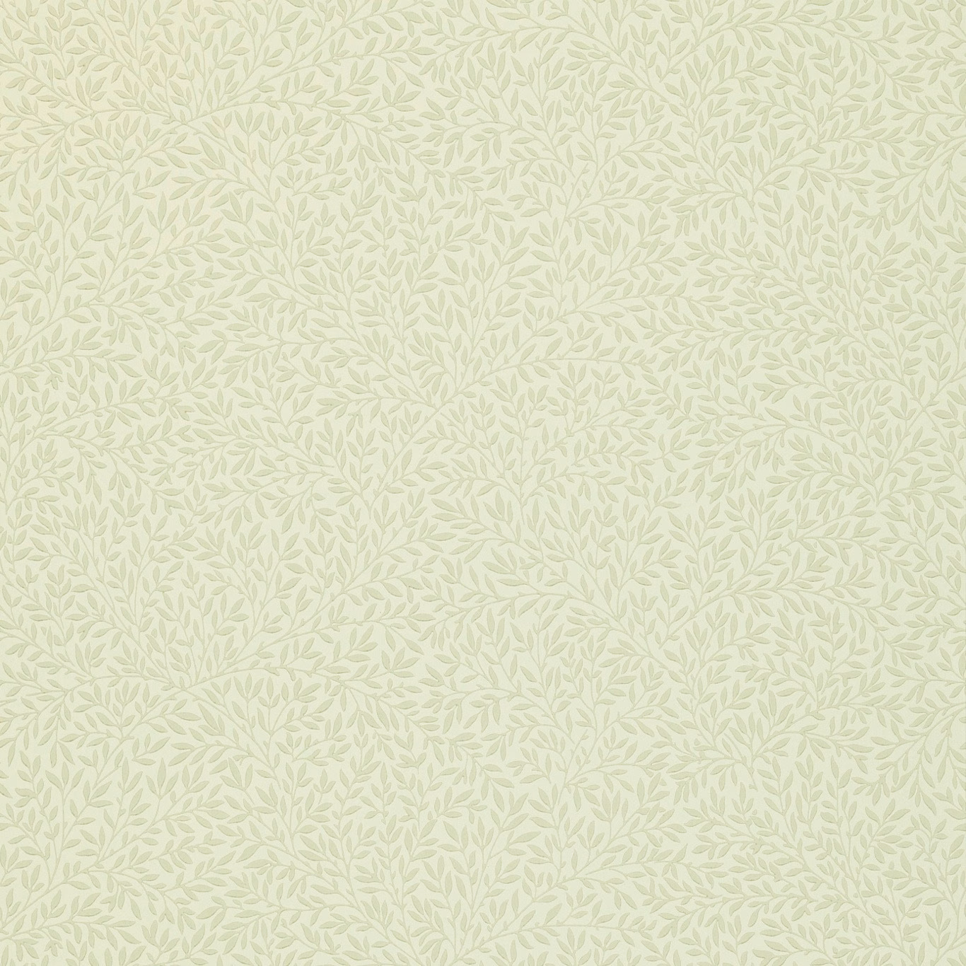 Pale sage leafy sprigs on a warm cream Morris & Co. wallpaper ground