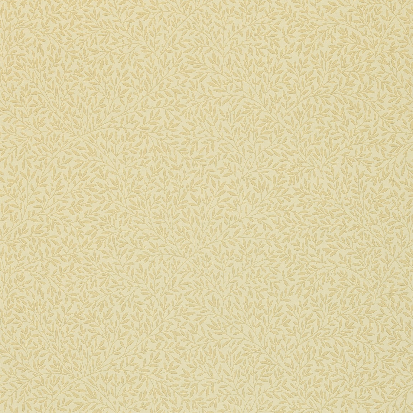 Pale flaxen wallpaper with fine sage leafy vines in a quiet all-over repeat