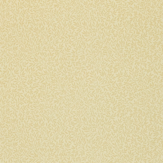 Pale flaxen wallpaper with fine sage leafy vines in a quiet all-over repeat