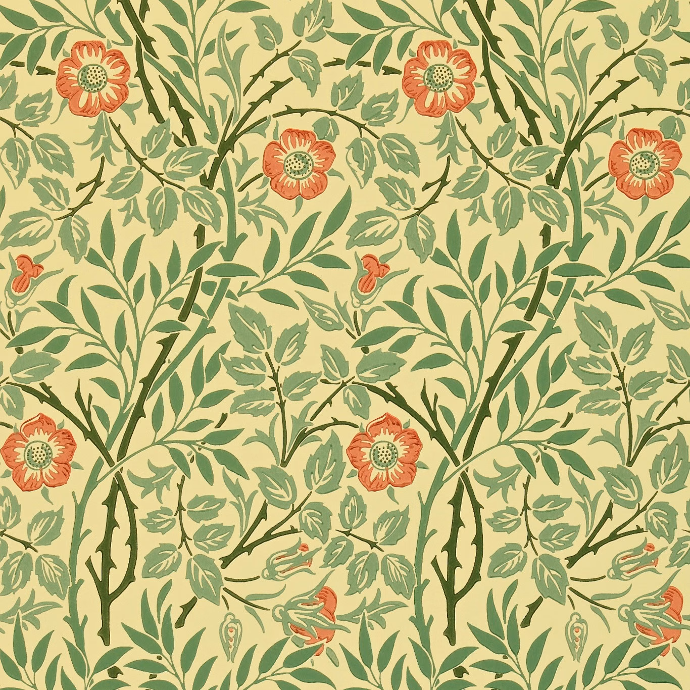 Sage green botanical wallpaper with rust flowers on a pale yellow-green ground
