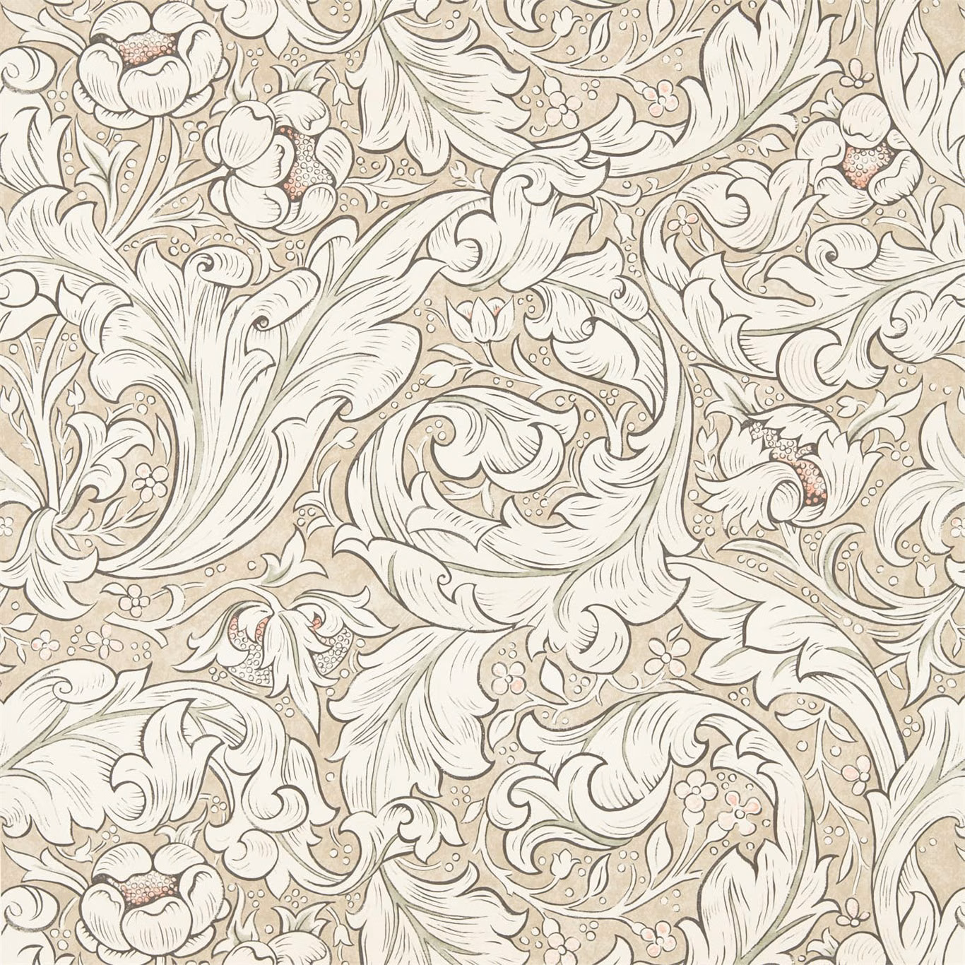 Linen-beige wallpaper with ivory scrolling foliage and delicate coral botanical flowers