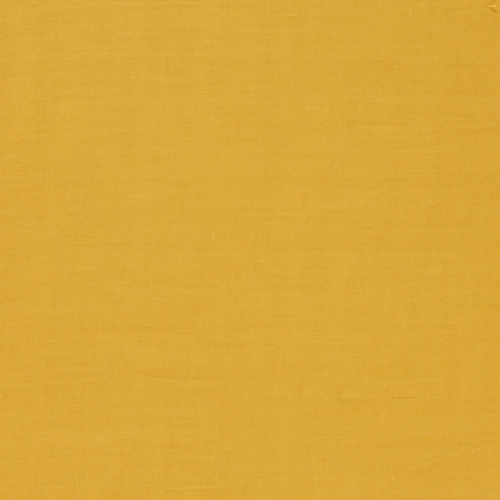 Close-up of saffron-gold plain weave showing fine horizontal and vertical texture