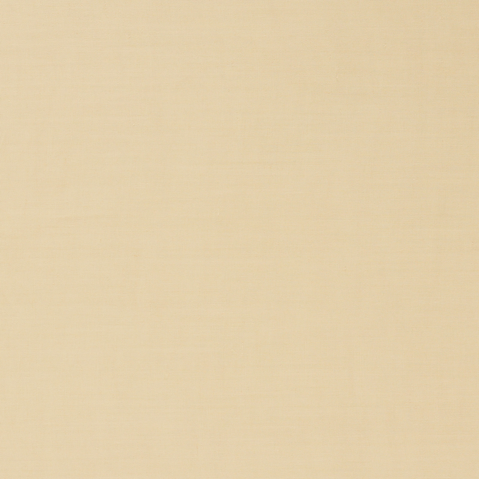 Close-up of pale wheat beige plain weave with a softly textured, even surface