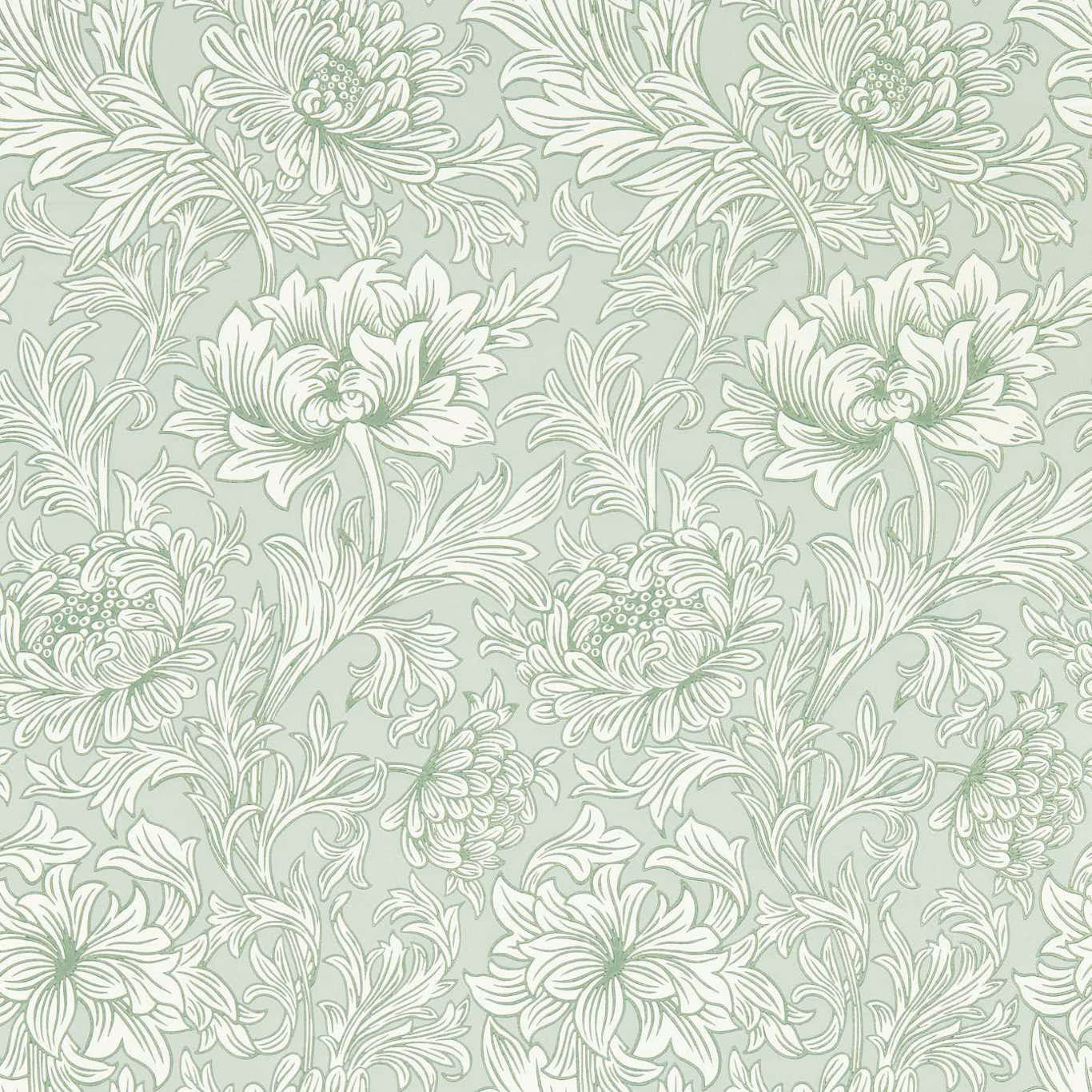 Pale sage wallpaper with ivory chrysanthemum blooms, curling stems and fine outlined leaves