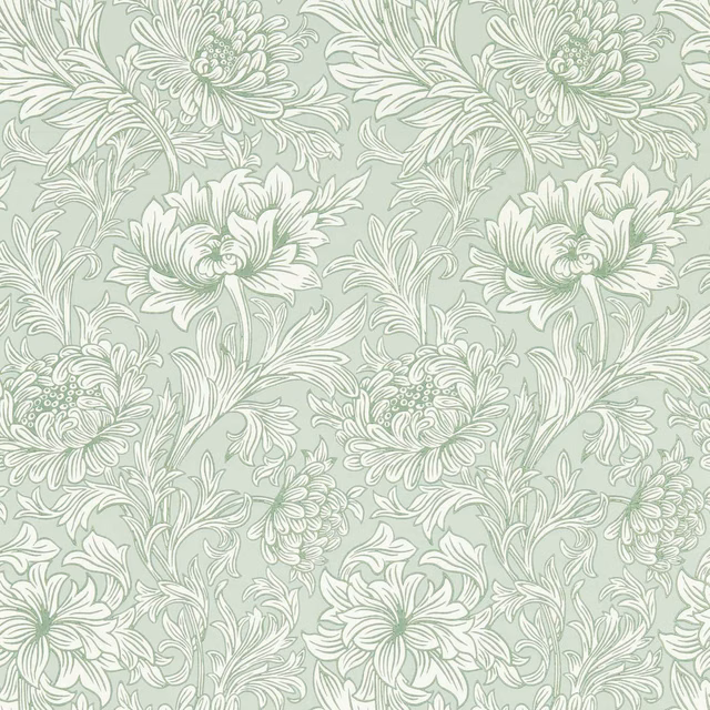 Pale sage wallpaper with ivory chrysanthemum blooms, curling stems and fine outlined leaves