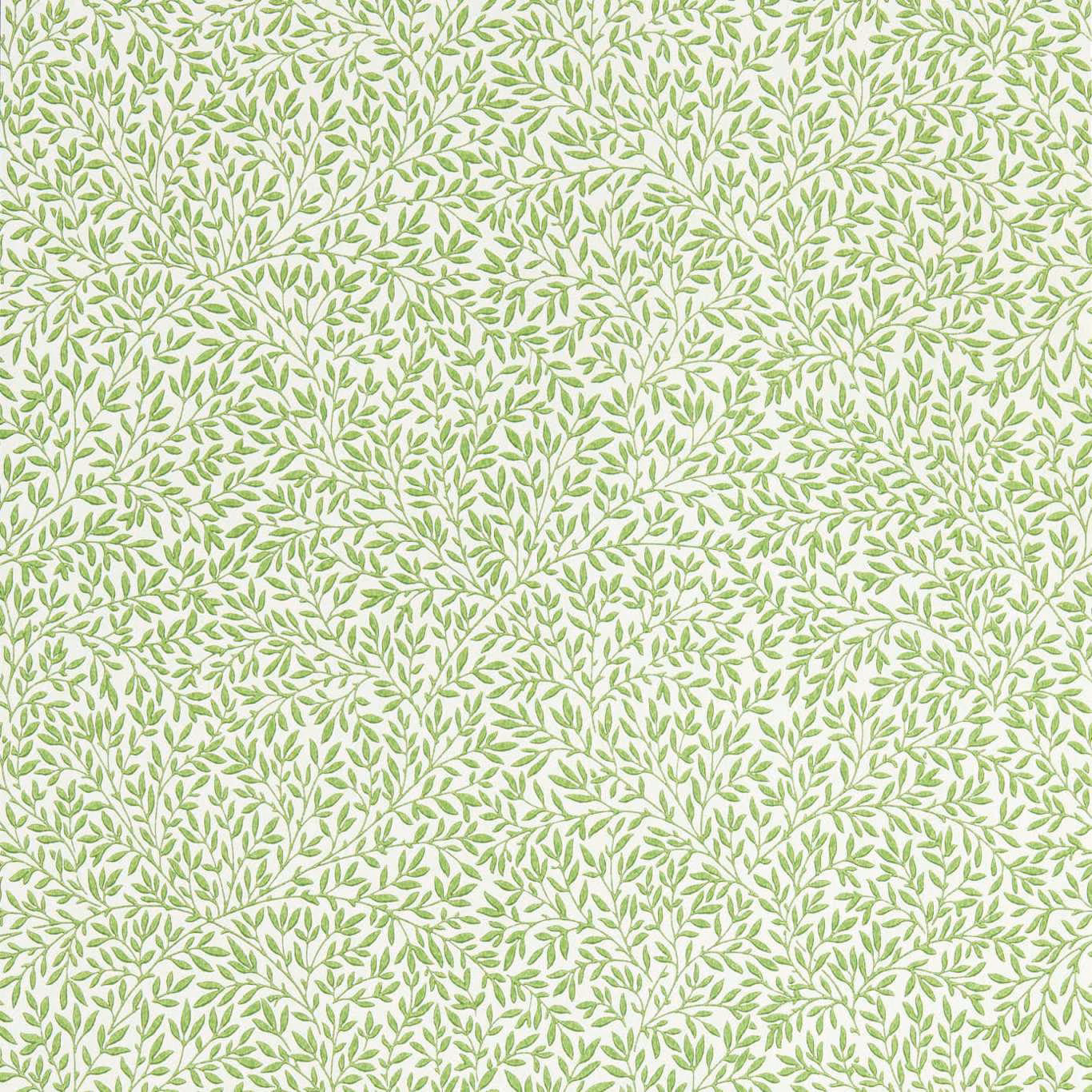 Pale cream wallpaper with dense fine branches and soft spring-green leaves