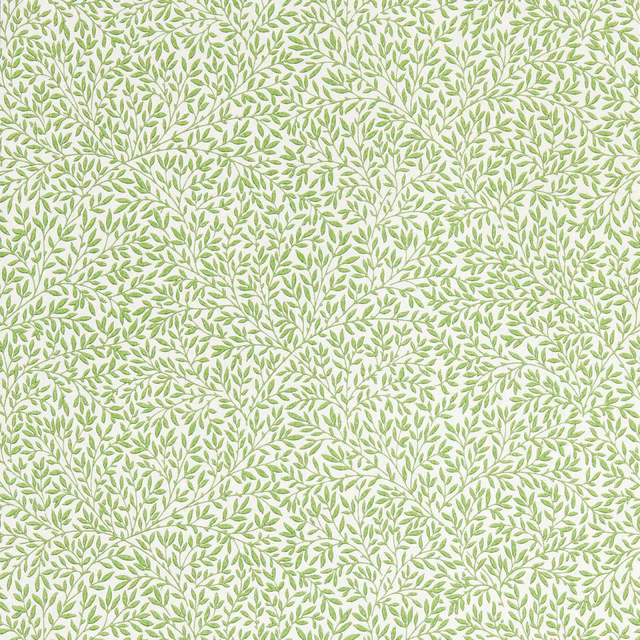 Pale cream wallpaper with dense fine branches and soft spring-green leaves