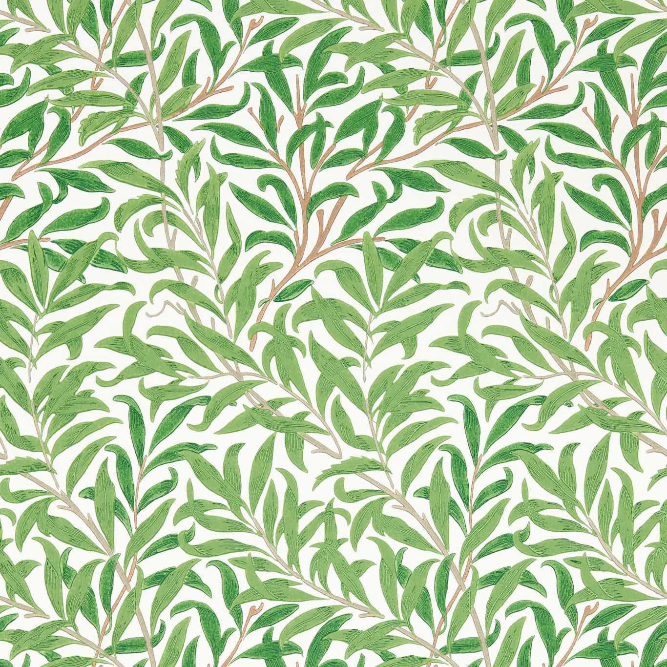 Leaf-green Willow branches with brown stems over a warm white ground